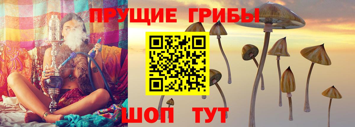 Галлюциногенные грибы GOLDEN TEACHER Березники